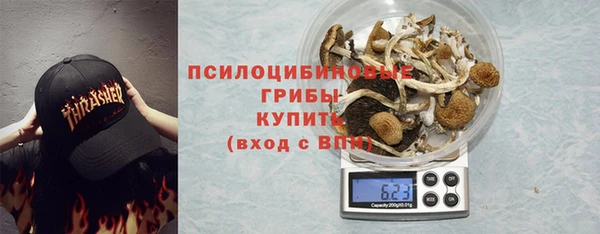 ГАЛЛЮЦИНОГЕННЫЕ ГРИБЫ Армянск