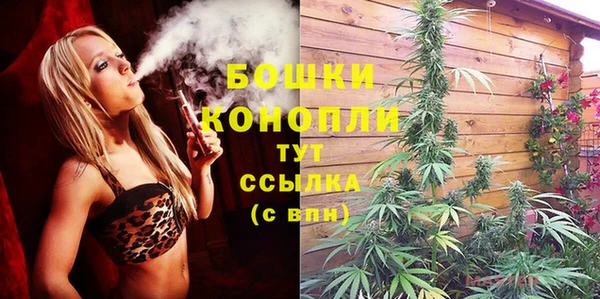ГАЛЛЮЦИНОГЕННЫЕ ГРИБЫ Армянск