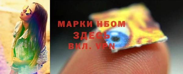 стаф Аркадак