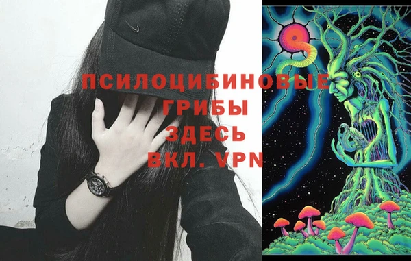 ГАЛЛЮЦИНОГЕННЫЕ ГРИБЫ Армянск