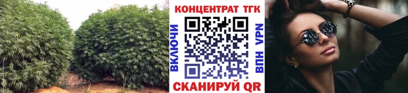Дистиллят ТГК гашишное масло  OMG tor  Сосновоборск 