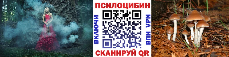 Галлюциногенные грибы мухоморы Сосновоборск